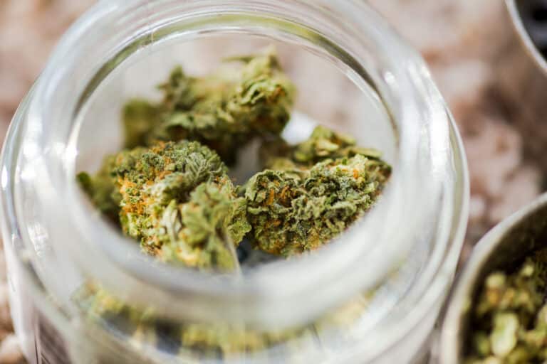 Close-up view of cannabis buds in a glass jar. Buds are fresh, dry, and look healthy. A large amount of THC crystals can be seen on the buds.