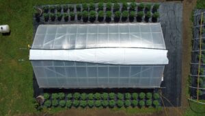 Aerial view of stone leaf greenhouse
